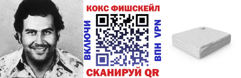 COCAIN Fish Scale  где купить   ОМГ ОМГ ССЫЛКА  Верхняя Салда 