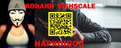 тгк Бийск