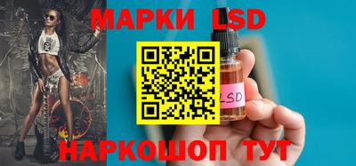 тгк Бийск