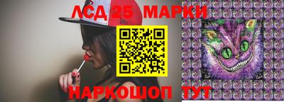 гидра Гатчина