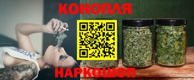 тгк Бийск