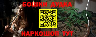 тгк Бийск