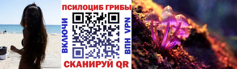 Псилоцибиновые грибы мицелий  маркетплейс состав  Верхняя Салда 