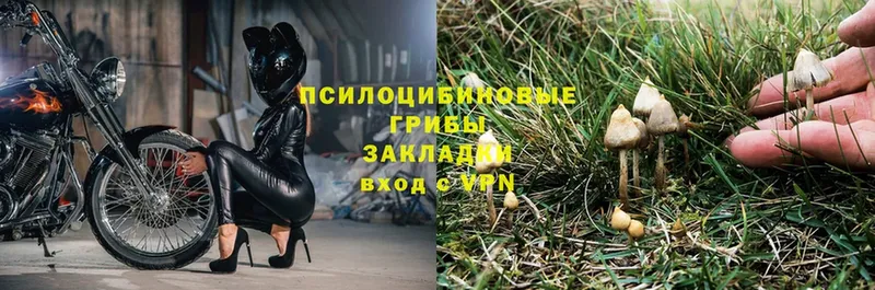 Псилоцибиновые грибы ЛСД  Верхняя Салда 